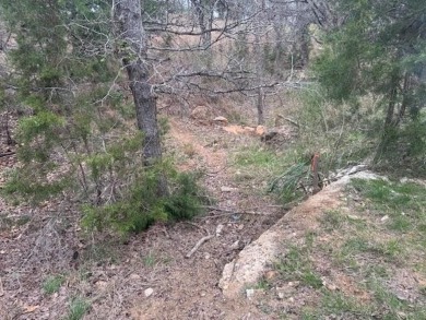 Wonderful acre homesite that backs to the wet weather creek with on Ram Rock Golf Course in Texas - for sale on GolfHomes.com, golf home, golf lot