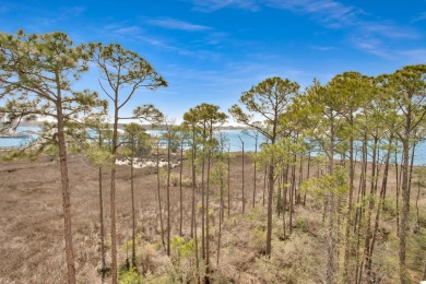 *Seller willing to offer seller financing.* This luxurious on Sandestin Golf and Beach Resort - Raven in Florida - for sale on GolfHomes.com, golf home, golf lot
