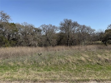 Lot is cleared at the front, with slope to the back lined with on White Bluff Resort - Old Course in Texas - for sale on GolfHomes.com, golf home, golf lot