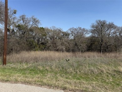 Lot is cleared at the front, with slope to the back lined with on White Bluff Resort - Old Course in Texas - for sale on GolfHomes.com, golf home, golf lot