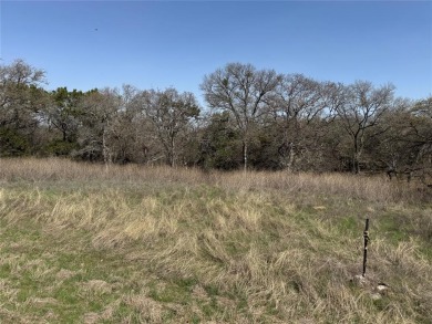 Lot is cleared at the front, with slope to the back lined with on White Bluff Resort - Old Course in Texas - for sale on GolfHomes.com, golf home, golf lot
