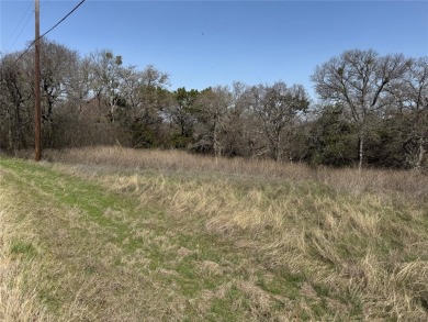 Lot is cleared at the front, with slope to the back lined with on White Bluff Resort - Old Course in Texas - for sale on GolfHomes.com, golf home, golf lot