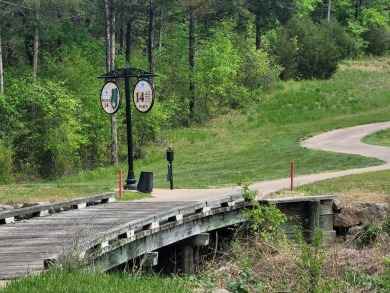 ''Premiere'' golf course bordering lot cleared for panoramic on Payne Stewart Golf Club of Branson Hills - Front in Missouri - for sale on GolfHomes.com, golf home, golf lot