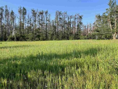 Beautiful open buildable lot with-in Birchwood Farms golf and on Birchwood Farms Golf and Country Club in Michigan - for sale on GolfHomes.com, golf home, golf lot