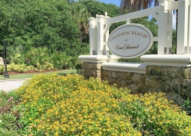 You've discovered the ideal place for your next beachside on The Ocean Course At Hammock Beach Resort in Florida - for sale on GolfHomes.com, golf home, golf lot