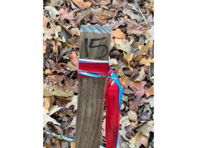 Priced way below market in Castle Pines! Castle Pines is in the on Rock Creek Golf Club in Texas - for sale on GolfHomes.com, golf home, golf lot