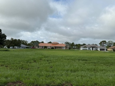 Motivated Seller! Large lot cleared and ready for you to build on Spring Lake Golf Resort in Florida - for sale on GolfHomes.com, golf home, golf lot