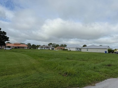 Motivated Seller! Large lot cleared and ready for you to build on Spring Lake Golf Resort in Florida - for sale on GolfHomes.com, golf home, golf lot
