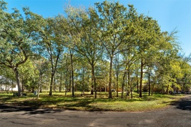 Beautiful treed corner lot with unobstructed water view on the on Pinnacle Golf and Boat Club in Texas - for sale on GolfHomes.com, golf home, golf lot