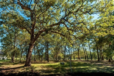 Beautiful golf course lot, trees, looking at 17th fairway and on Pinnacle Golf and Boat Club in Texas - for sale on GolfHomes.com, golf home, golf lot