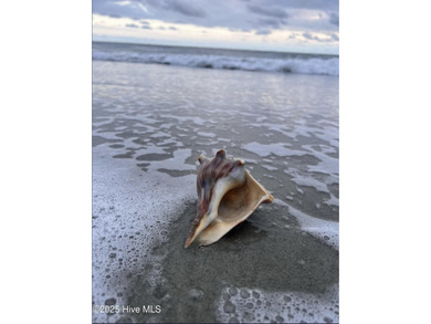 This CHARMING 2 Bedroom, 2 Bath cottage is the perfect Oak on Founders Club At St. James Plantation in North Carolina - for sale on GolfHomes.com, golf home, golf lot