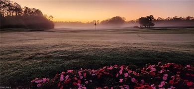 Location, location, location, this stunning 3 bedroom and 2 bath on Naples Heritage Golf and Country Club in Florida - for sale on GolfHomes.com, golf home, golf lot