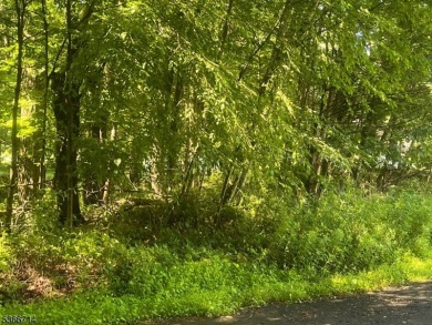 HERES YOUR CHANCE TO BUILD YOUR DREAM HOME ON GORGEOUS CUL-DE- on High Point Golf Club in New Jersey - for sale on GolfHomes.com, golf home, golf lot