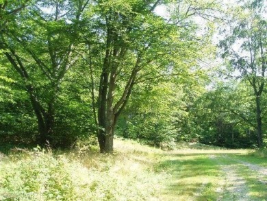 Exceptionally beautiful piece of land very close to Lake on The Heathlands in Michigan - for sale on GolfHomes.com, golf home, golf lot