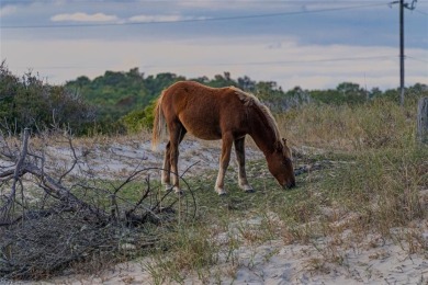 Build your dream home or investment property in The Currituck on The Currituck Golf Club in North Carolina - for sale on GolfHomes.com, golf home, golf lot