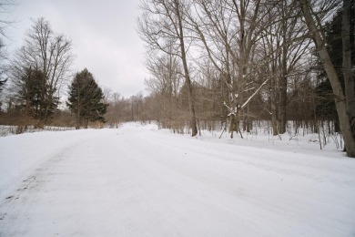 Exceptionally beautiful piece of land very close to Lake on The Heathlands in Michigan - for sale on GolfHomes.com, golf home, golf lot