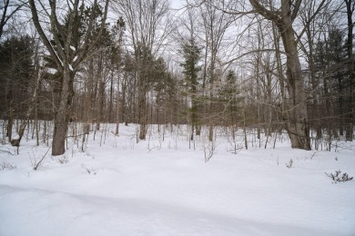 Exceptionally beautiful piece of land very close to Lake on The Heathlands in Michigan - for sale on GolfHomes.com, golf home, golf lot