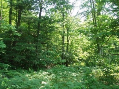 Exceptionally beautiful piece of land very close to Lake on The Heathlands in Michigan - for sale on GolfHomes.com, golf home, golf lot