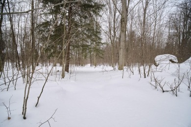 Exceptionally beautiful piece of land very close to Lake on The Heathlands in Michigan - for sale on GolfHomes.com, golf home, golf lot