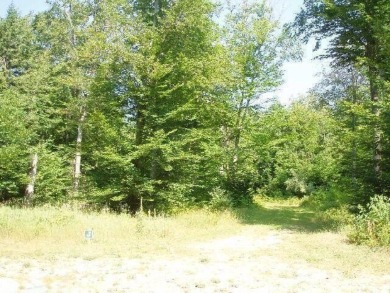 Exceptionally beautiful piece of land very close to Lake on The Heathlands in Michigan - for sale on GolfHomes.com, golf home, golf lot