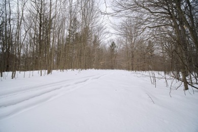 Exceptionally beautiful piece of land very close to Lake on The Heathlands in Michigan - for sale on GolfHomes.com, golf home, golf lot