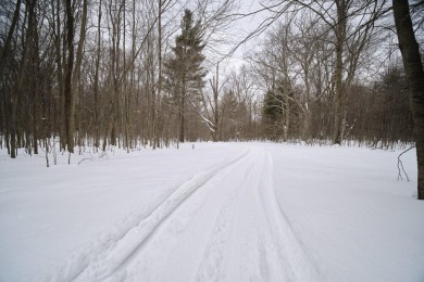 Exceptionally beautiful piece of land very close to Lake on The Heathlands in Michigan - for sale on GolfHomes.com, golf home, golf lot