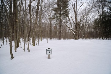 Exceptionally beautiful piece of land very close to Lake on The Heathlands in Michigan - for sale on GolfHomes.com, golf home, golf lot