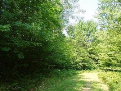 Exceptionally beautiful piece of land very close to Lake on The Heathlands in Michigan - for sale on GolfHomes.com, golf home, golf lot