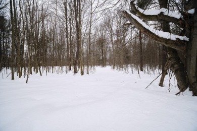 Exceptionally beautiful piece of land very close to Lake on The Heathlands in Michigan - for sale on GolfHomes.com, golf home, golf lot