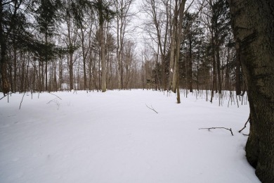 Exceptionally beautiful piece of land very close to Lake on The Heathlands in Michigan - for sale on GolfHomes.com, golf home, golf lot