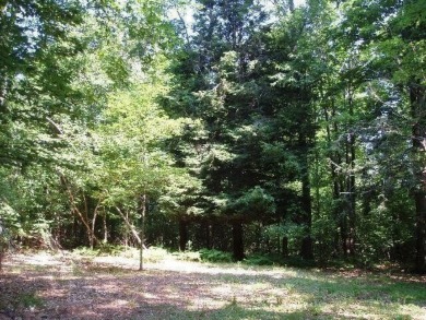 Exceptionally beautiful piece of land very close to Lake on The Heathlands in Michigan - for sale on GolfHomes.com, golf home, golf lot