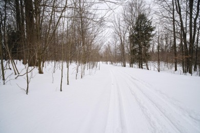 Exceptionally beautiful piece of land very close to Lake on The Heathlands in Michigan - for sale on GolfHomes.com, golf home, golf lot