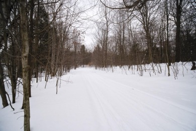 Exceptionally beautiful piece of land very close to Lake on The Heathlands in Michigan - for sale on GolfHomes.com, golf home, golf lot