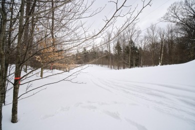 Exceptionally beautiful piece of land very close to Lake on The Heathlands in Michigan - for sale on GolfHomes.com, golf home, golf lot