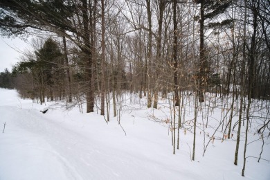 Exceptionally beautiful piece of land very close to Lake on The Heathlands in Michigan - for sale on GolfHomes.com, golf home, golf lot