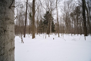 Exceptionally beautiful piece of land very close to Lake on The Heathlands in Michigan - for sale on GolfHomes.com, golf home, golf lot