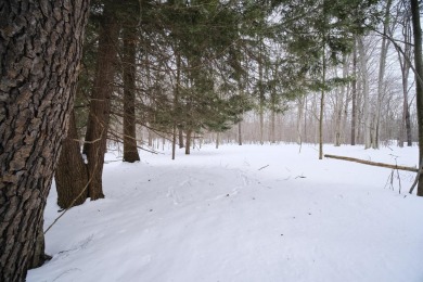 Exceptionally beautiful piece of land very close to Lake on The Heathlands in Michigan - for sale on GolfHomes.com, golf home, golf lot