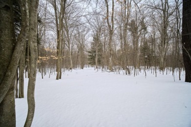 Exceptionally beautiful piece of land very close to Lake on The Heathlands in Michigan - for sale on GolfHomes.com, golf home, golf lot