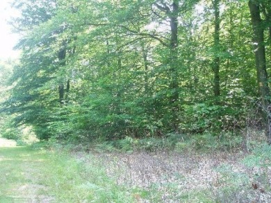 Exceptionally beautiful piece of land very close to Lake on The Heathlands in Michigan - for sale on GolfHomes.com, golf home, golf lot