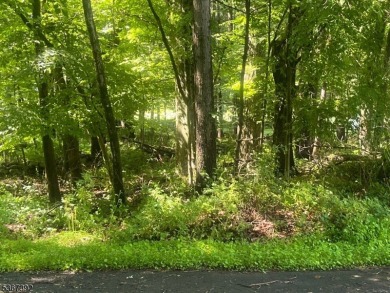 HERES YOUR CHANCE TO BUILD YOUR DREAM HOME ON GORGEOUS CUL-DE- on High Point Golf Club in New Jersey - for sale on GolfHomes.com, golf home, golf lot