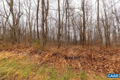 Located in a quiet part of Wintergreen yet just several minutes on Devils Knob in Virginia - for sale on GolfHomes.com, golf home, golf lot