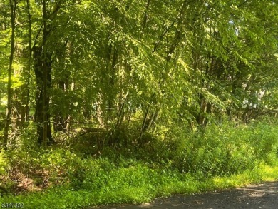 HERES YOUR CHANCE TO BUILD YOUR DREAM HOME ON GORGEOUS CUL-DE- on High Point Golf Club in New Jersey - for sale on GolfHomes.com, golf home, golf lot