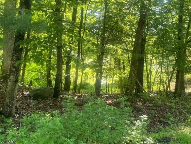 HERES YOUR CHANCE TO BUILD YOUR DREAM HOME ON GORGEOUS CUL-DE- on High Point Golf Club in New Jersey - for sale on GolfHomes.com, golf home, golf lot