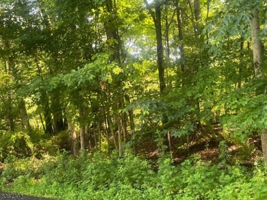HERES YOUR CHANCE TO BUILD YOUR DREAM HOME ON GORGEOUS CUL-DE- on High Point Golf Club in New Jersey - for sale on GolfHomes.com, golf home, golf lot