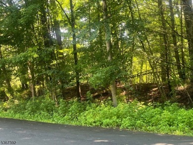 HERES YOUR CHANCE TO BUILD YOUR DREAM HOME ON GORGEOUS CUL-DE- on High Point Golf Club in New Jersey - for sale on GolfHomes.com, golf home, golf lot