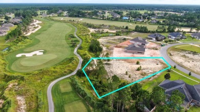 Are you seeking to construct your own personalized residence on on Windswept Dunes Golf Club in Florida - for sale on GolfHomes.com, golf home, golf lot
