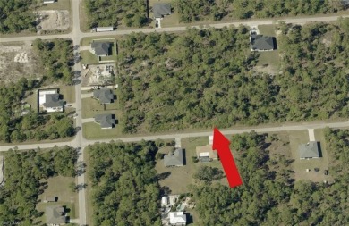 This HIGH AND DRY OVERSIZED .50 acre lot is perfect to build on Lehigh Resort Club in Florida - for sale on GolfHomes.com, golf home, golf lot