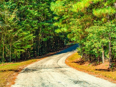 Home Escape!! Seeking an excellent location to build your new on Tanglewood Shores Golf Club in Virginia - for sale on GolfHomes.com, golf home, golf lot