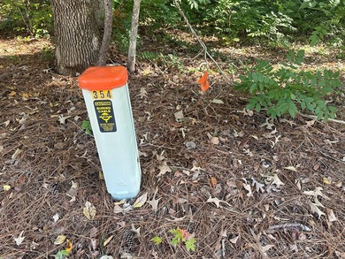 Home Escape!! Seeking an excellent location to build your new on Tanglewood Shores Golf Club in Virginia - for sale on GolfHomes.com, golf home, golf lot