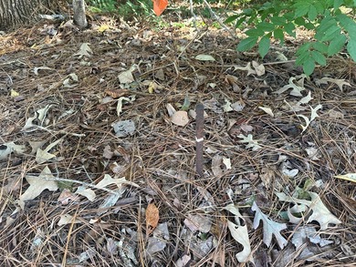 Home Escape!! Seeking an excellent location to build your new on Tanglewood Shores Golf Club in Virginia - for sale on GolfHomes.com, golf home, golf lot